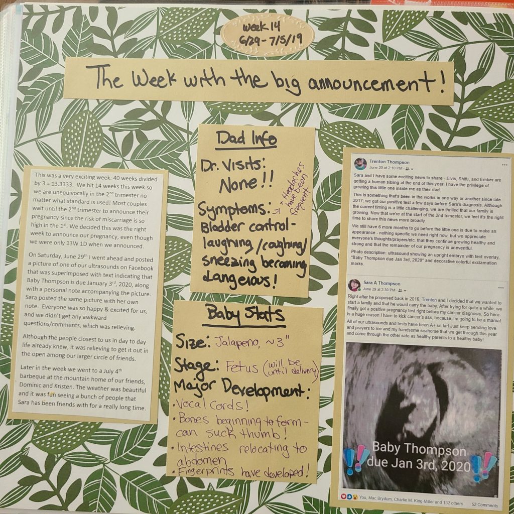 Week 14 scrapbook page, background covered in dark green jungle-type leaves with various patterns.