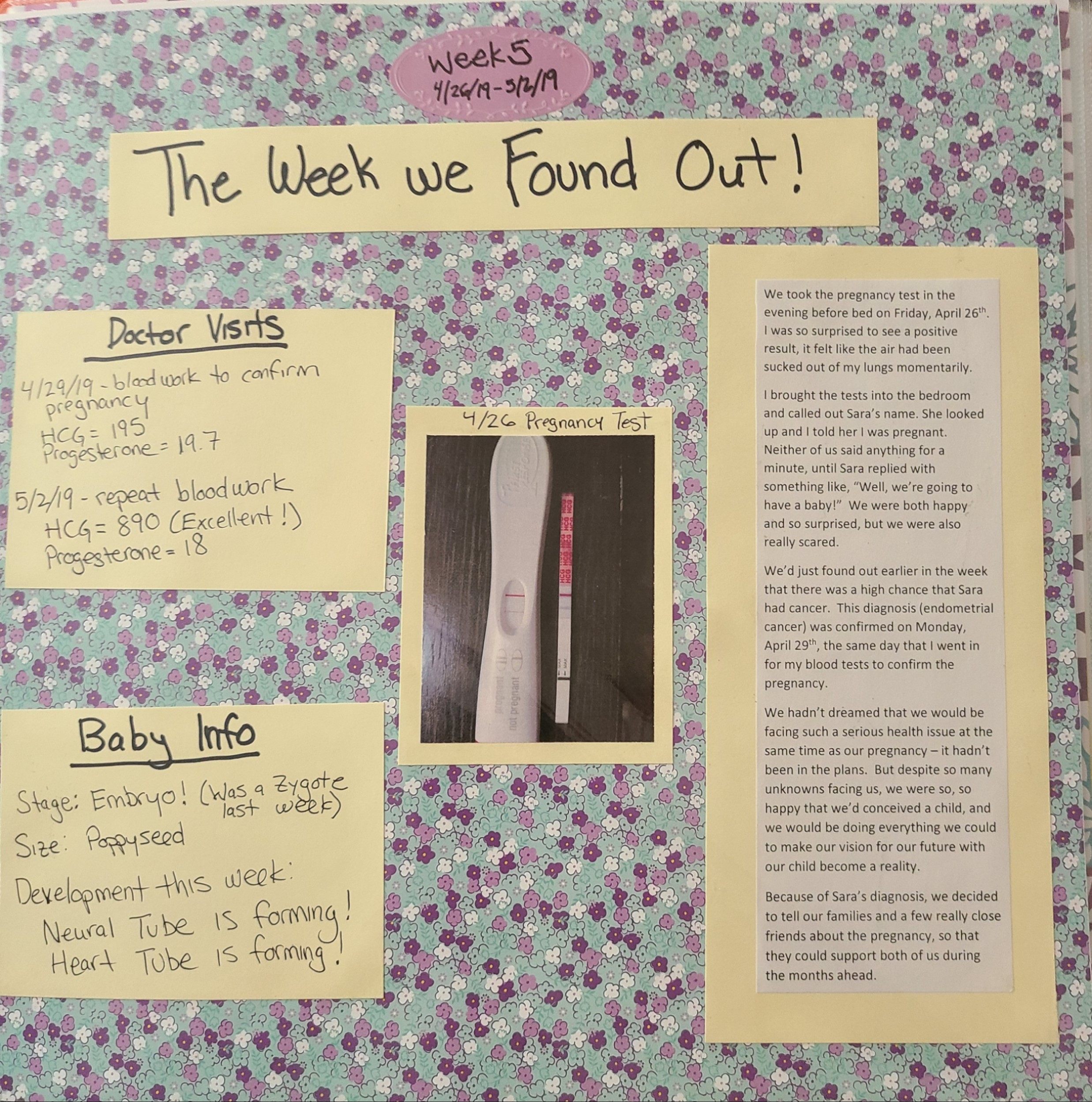Scrapbook page with light blue background and tiny white, blue, and purple flowers, an image of a positive pregnancy test, and several paragraphs of text. 